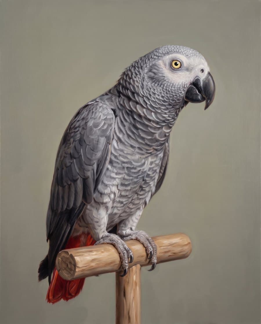 Oil painting of a parrot