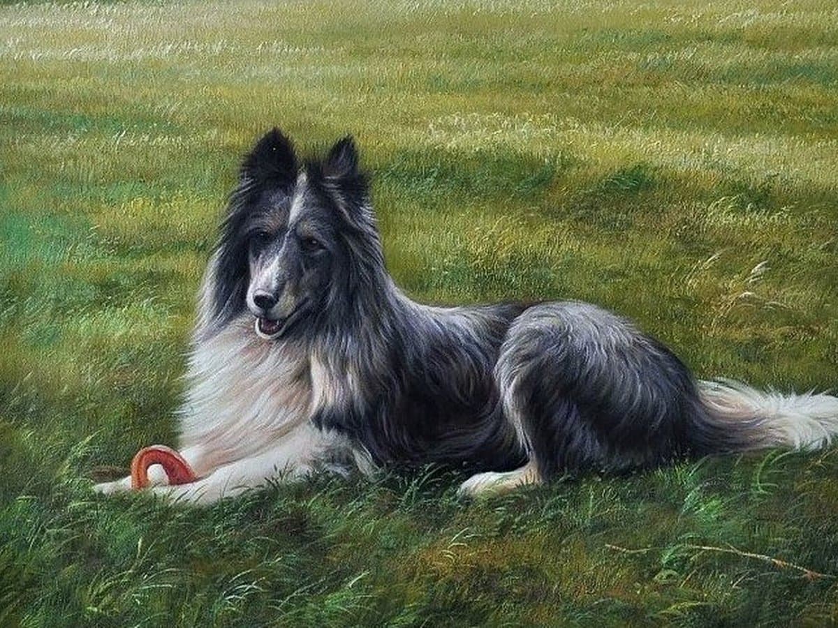 A Christmas Gift for Someone Who Lost a Pet This Year