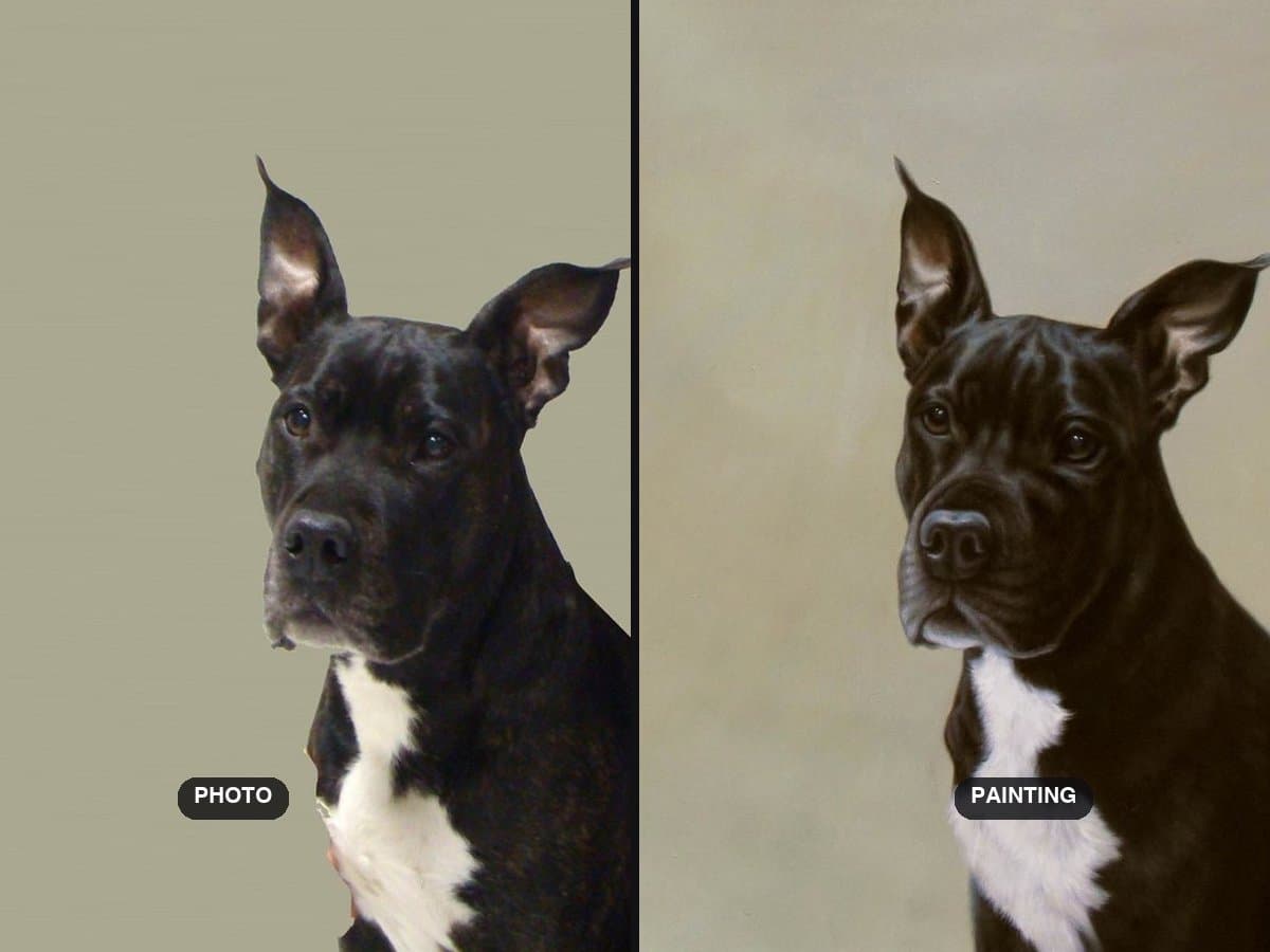 Dog Portrait Ideas: 14 Ways to Paint the Same Dog