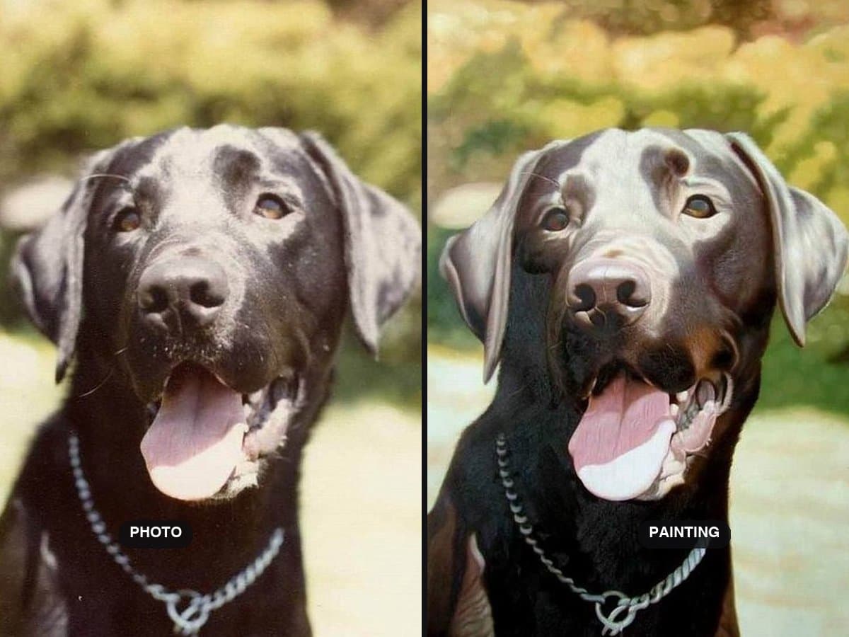 Gifts for Dog Lovers: What Dog People Actually Keep