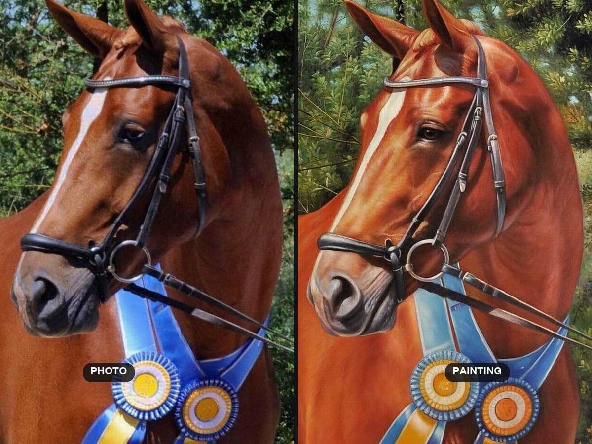 Commissioning a Horse Portrait: A Straight Guide