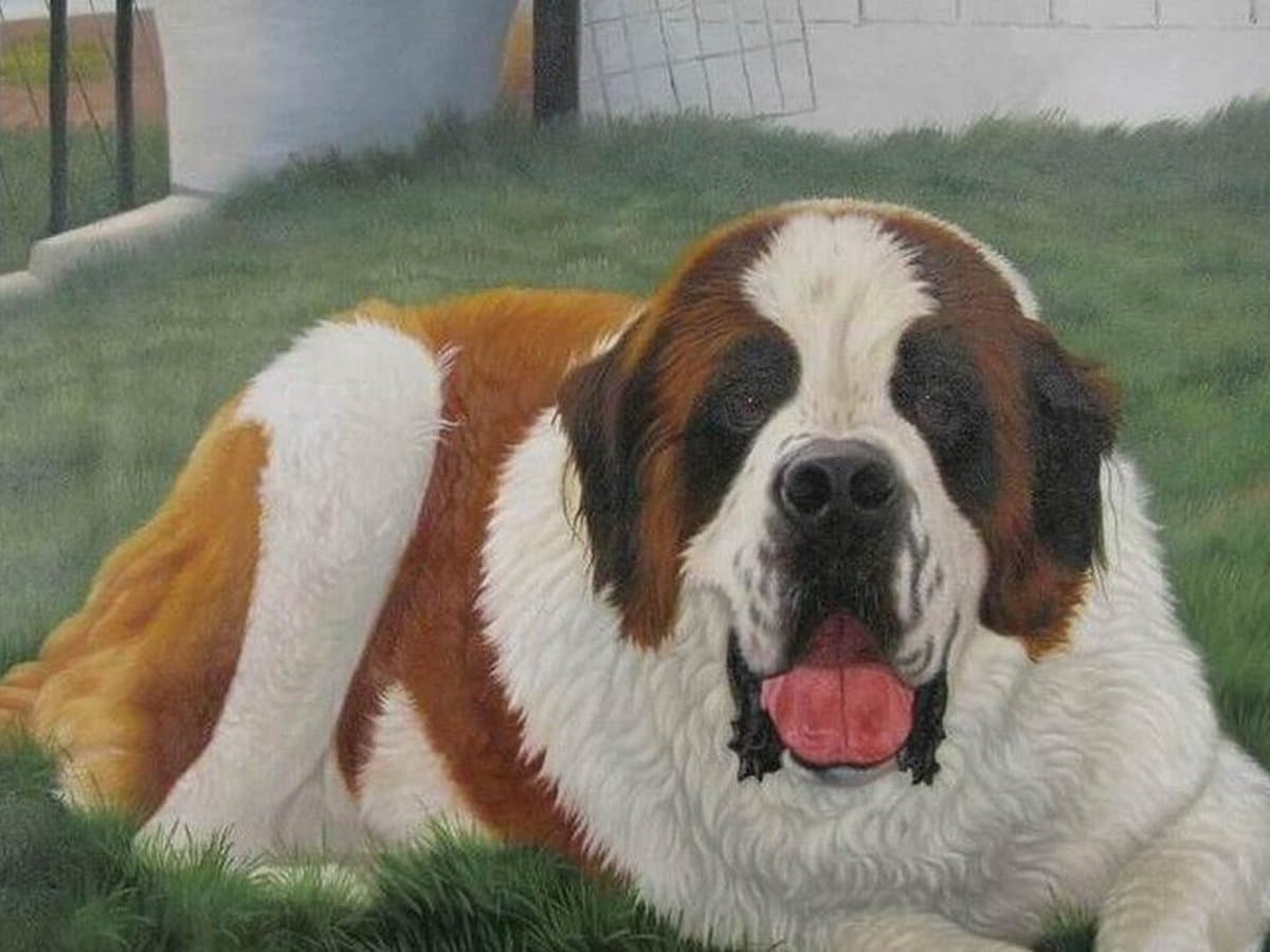 An Oil Painting of Your Dog: What It Costs, What to Send, What You Get