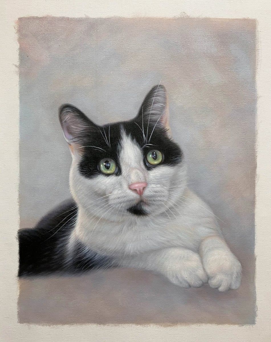 A black and white cat hand-painted in oil on canvas from the owner's photograph