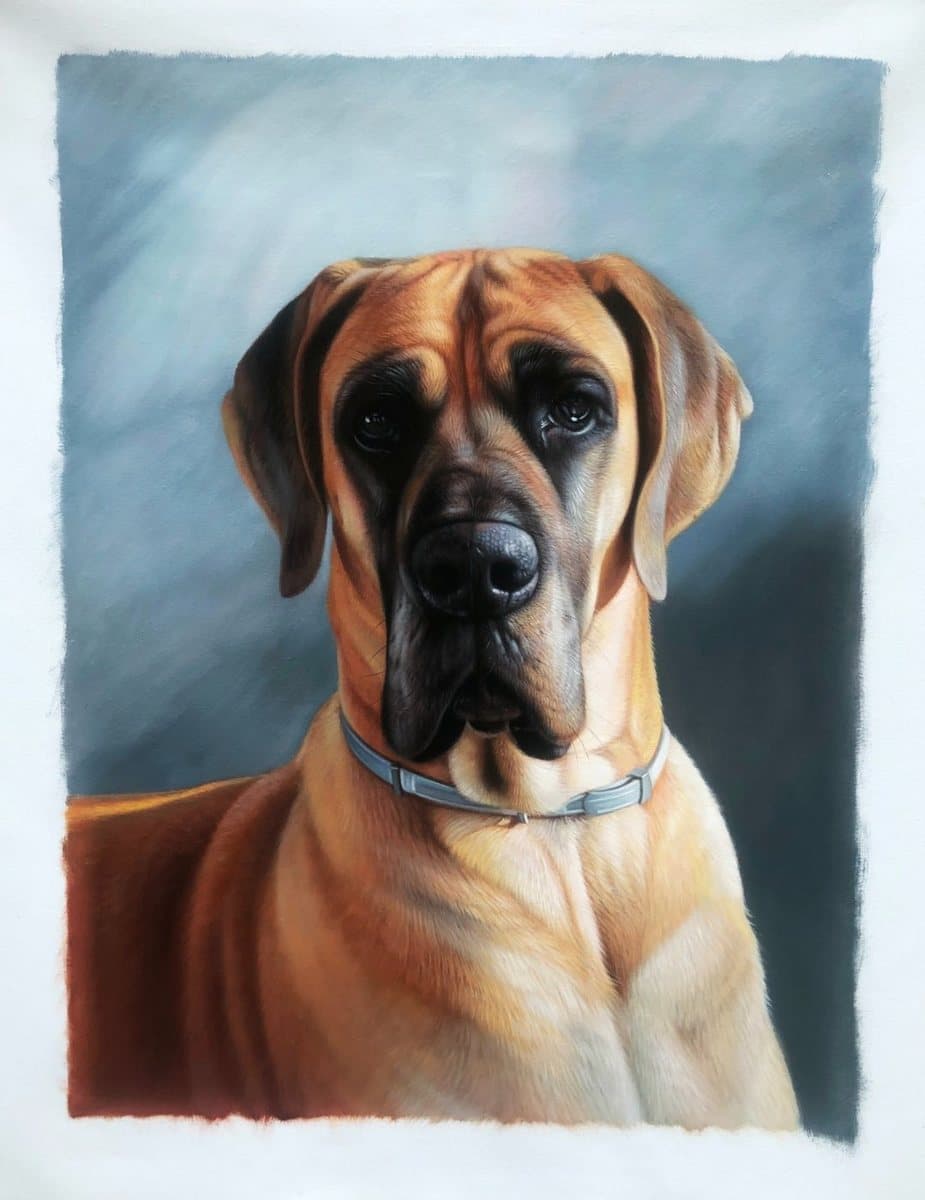 Oil painting of a mastiff