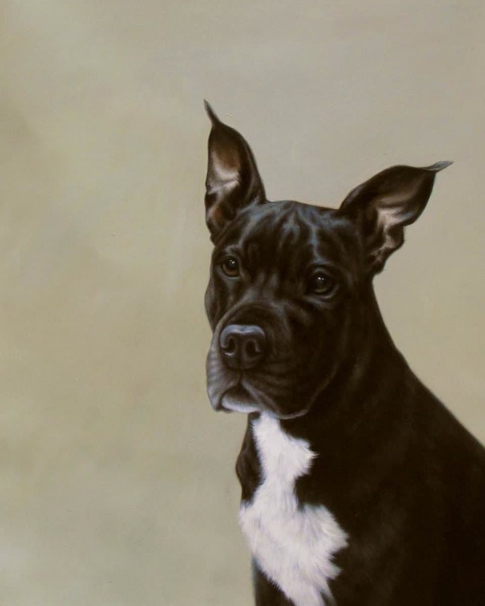 Oil painting of a black dog with a white chest, hand-painted from a photograph