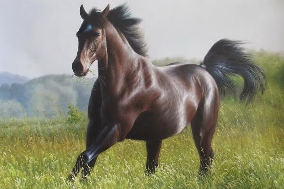 A horse at a gallop hand-painted in oil on canvas from a photograph