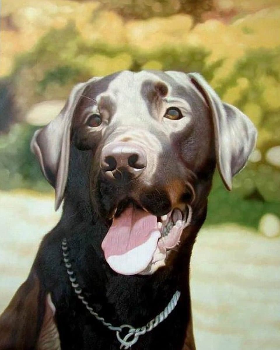 Oil painting of a labrador with its tongue out, hand-painted from a photograph