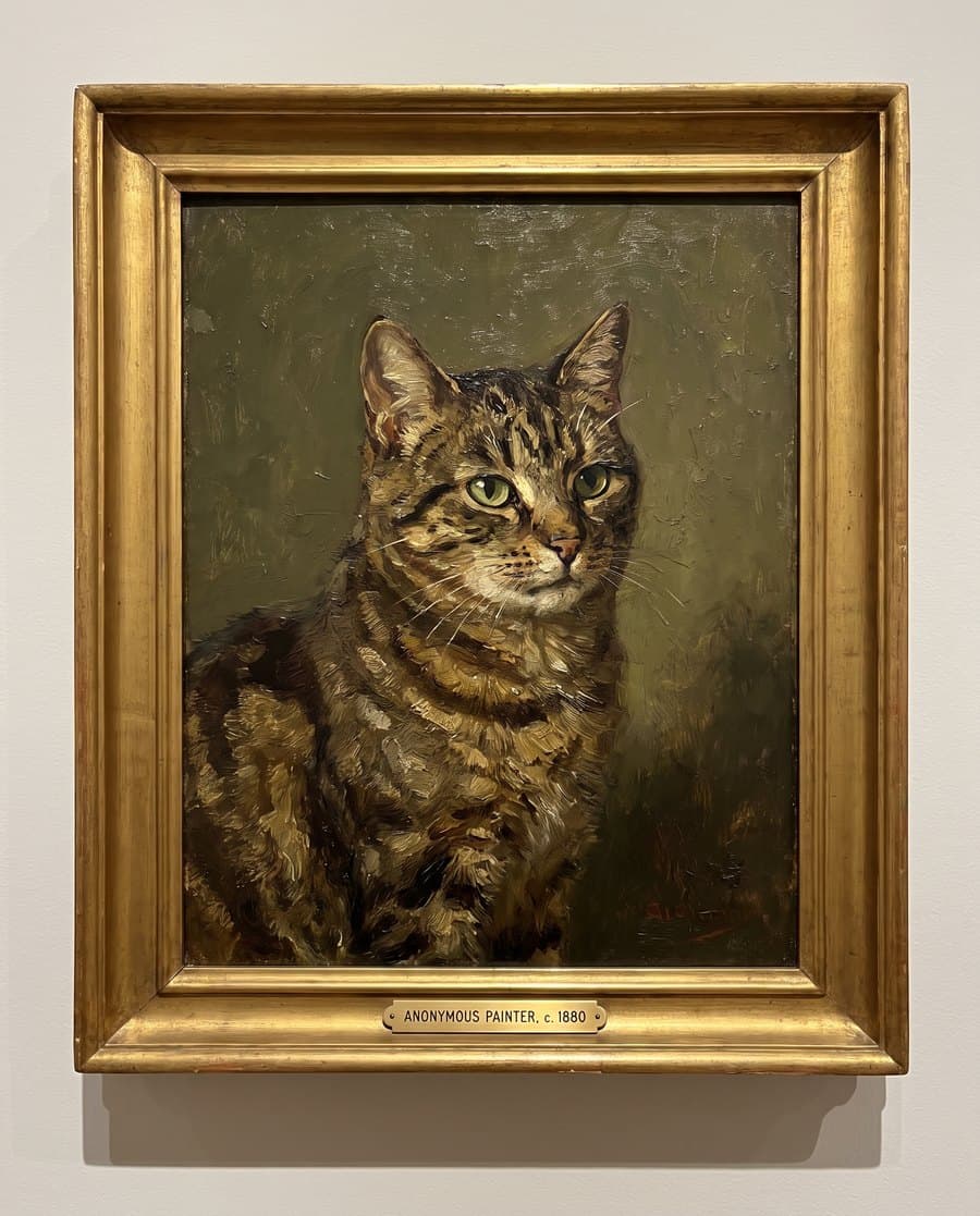 Christmas Gifts for Cat Lovers That Aren't Cat-Themed Tat