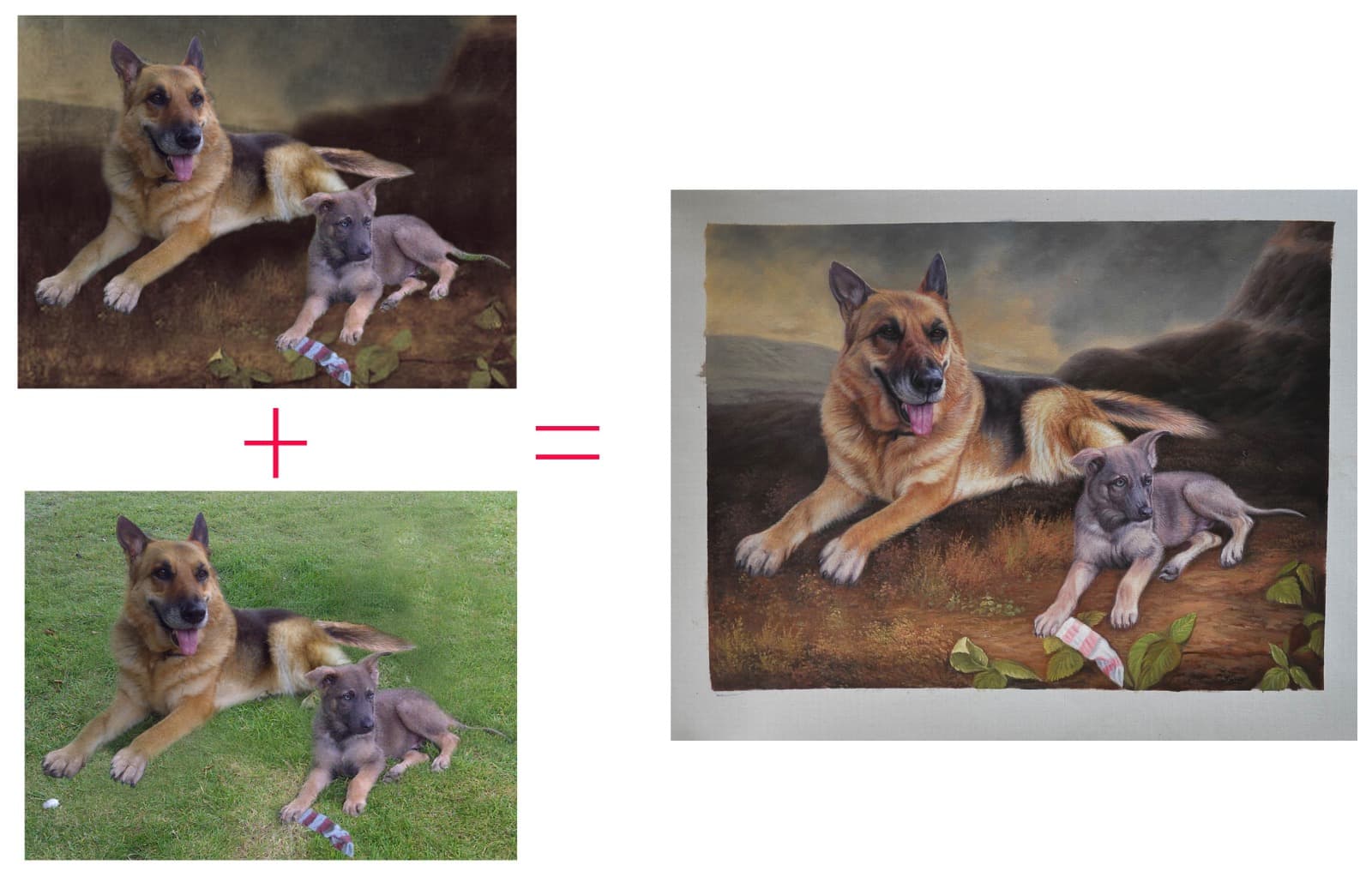 Real customer commission — Dog German Shepherd Puppy Before After