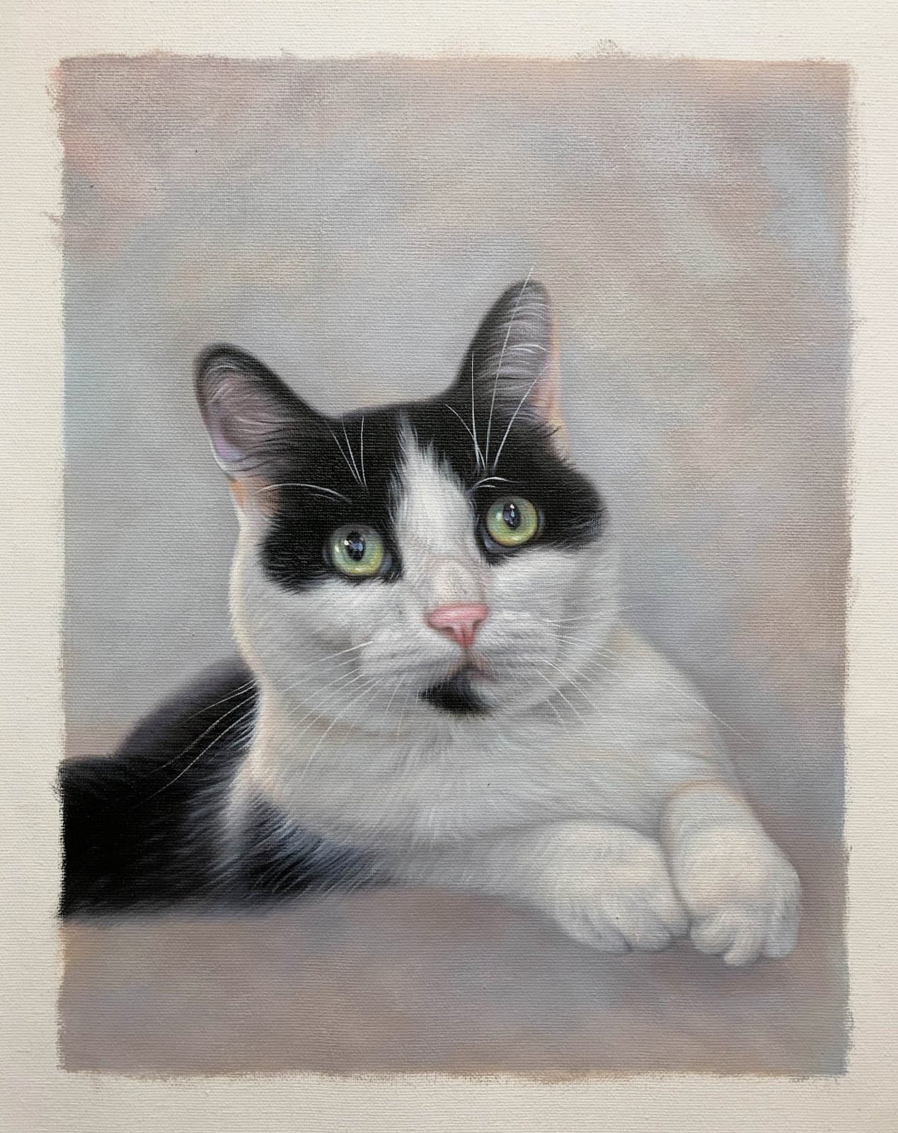 Cat Black White Portrait