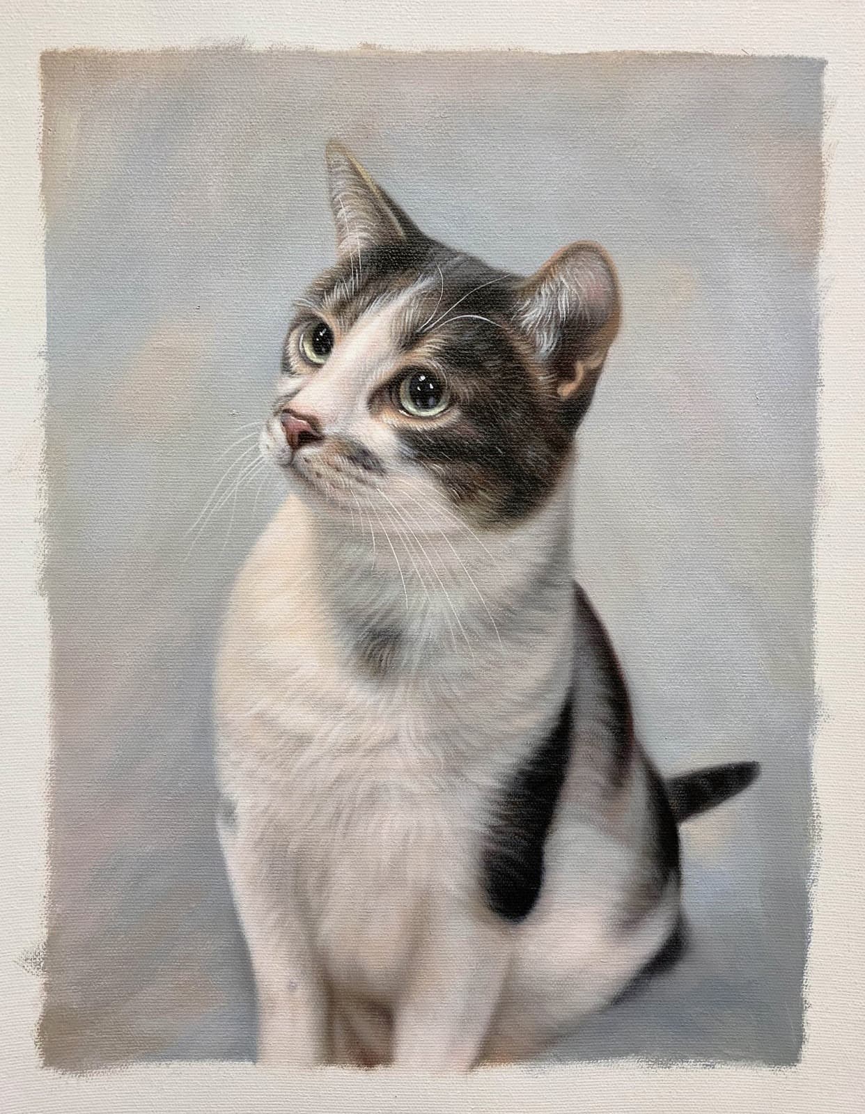 Cat Tabby White Green Eyes