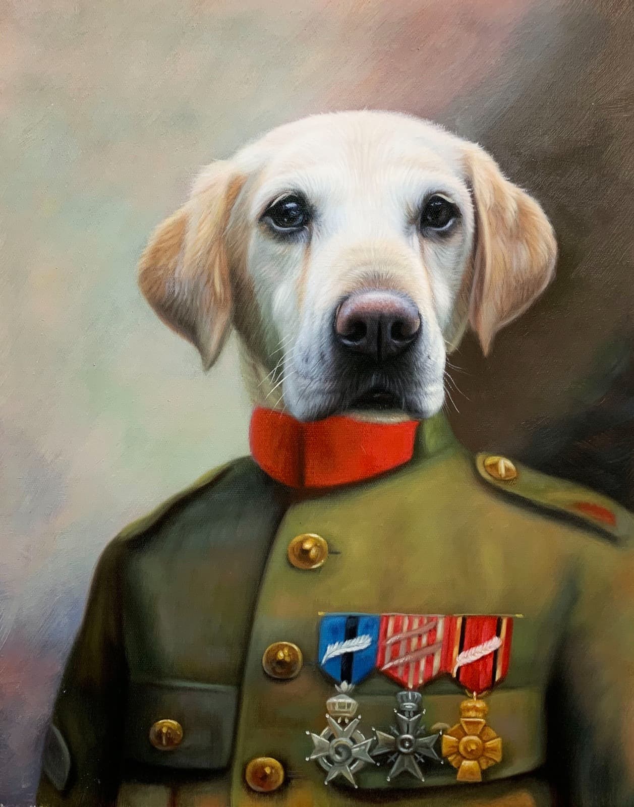 Dog Yellow Labrador Military Officer Medals