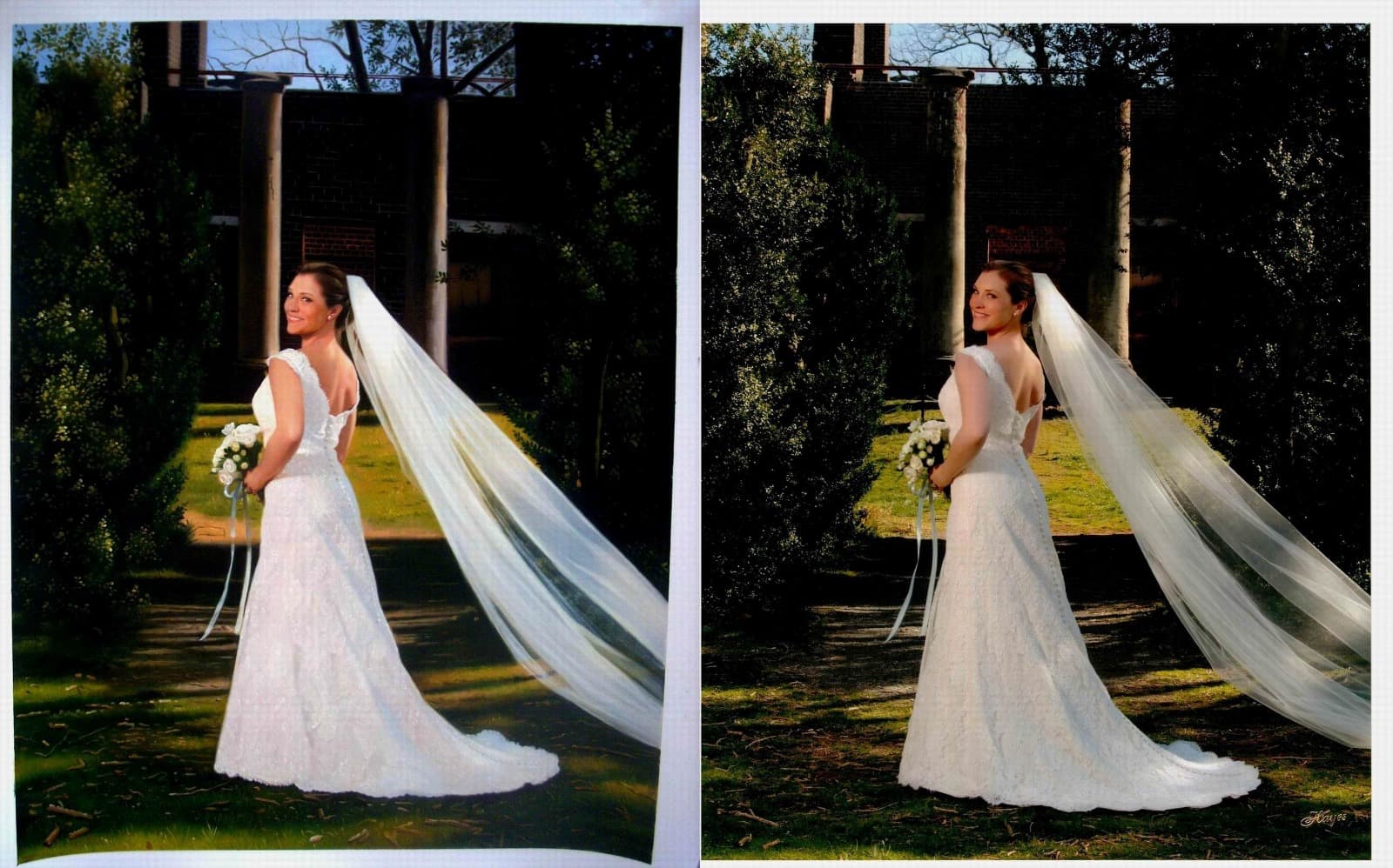 Wedding Bride Veil Trees