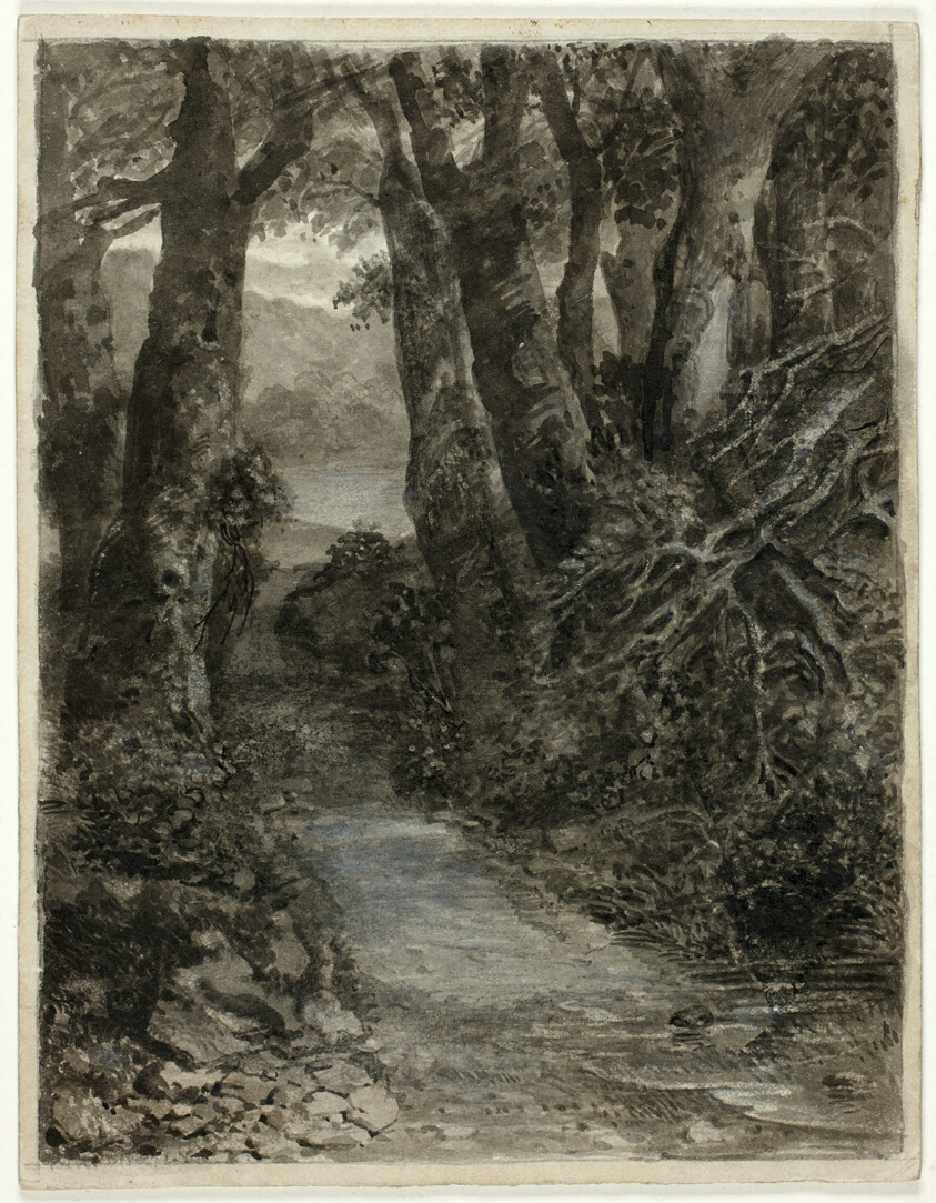 A Woodland Study by Samuel Palmer