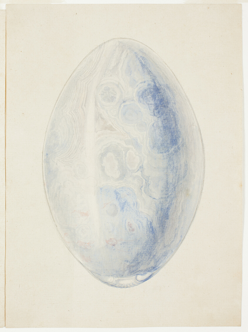 Overview of Oval Shell Stone by Giuseppe Grisoni