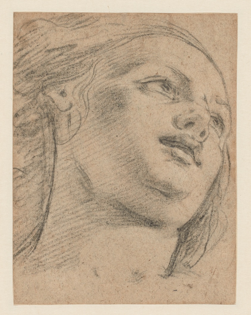 Female Head Study Looking Up to Right (recto); Study of Two Figures Supporting an Object (verso) by School of Guido Reni
