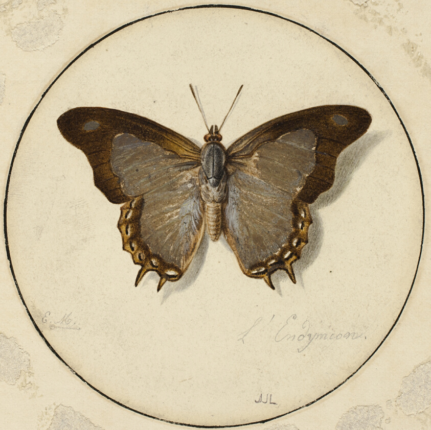 L'Endymien by Jean Louis Ernest Meissonier