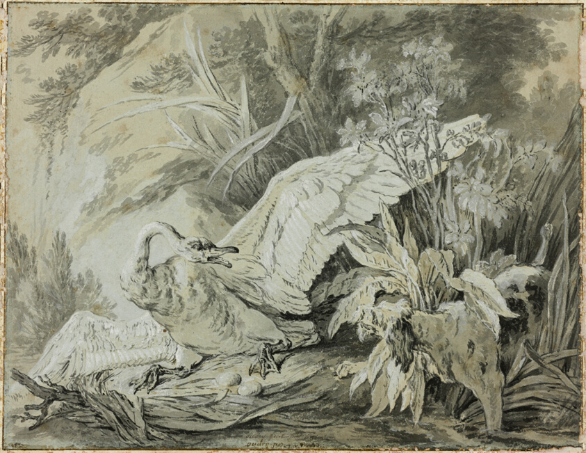 A Wild Swan Attacked by a Dog by Jean-Baptiste Oudry