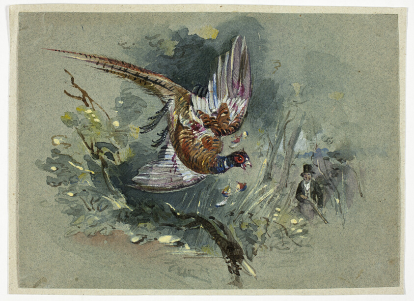Pheasant and Hunter by Charles B. Newhouse