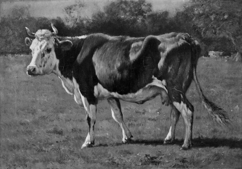 Study of a Cow by Emile van Marcke de Lummen