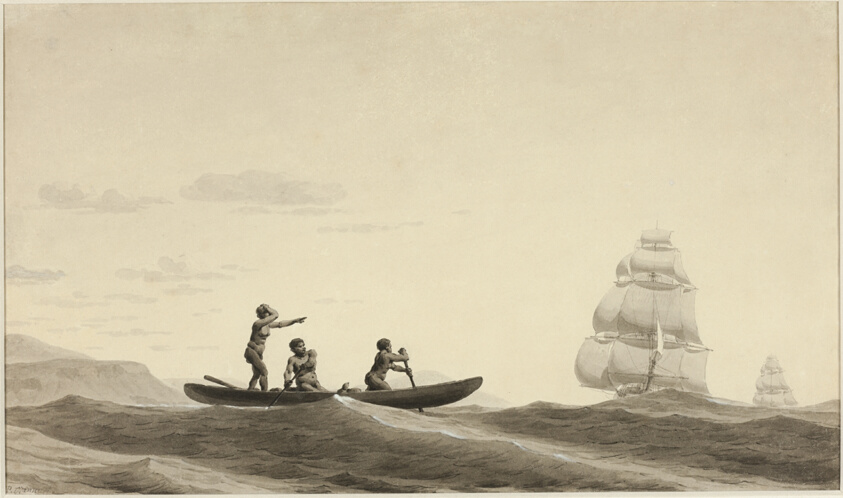 The Bark by Pierre Ozanne