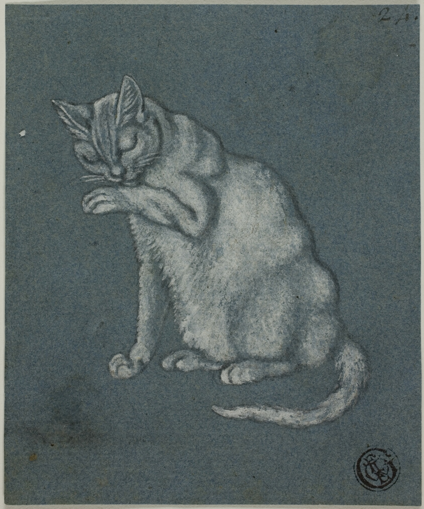 Cat Licking Paw by Unknown artist