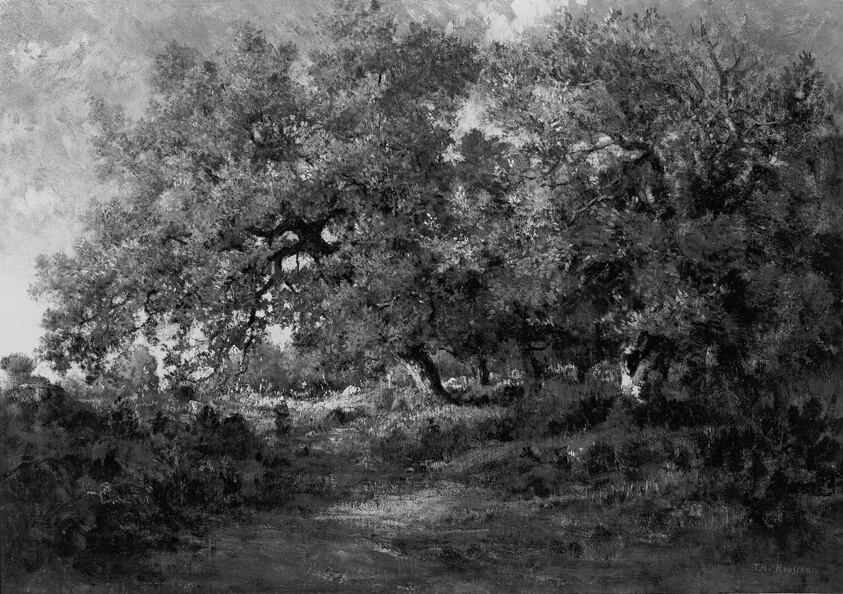 Landscape by Théodore Rousseau