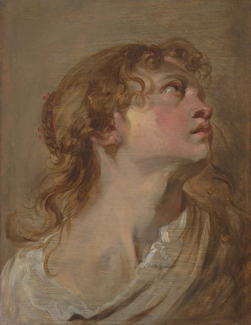 Head of a Girl by Anthony van Dyck