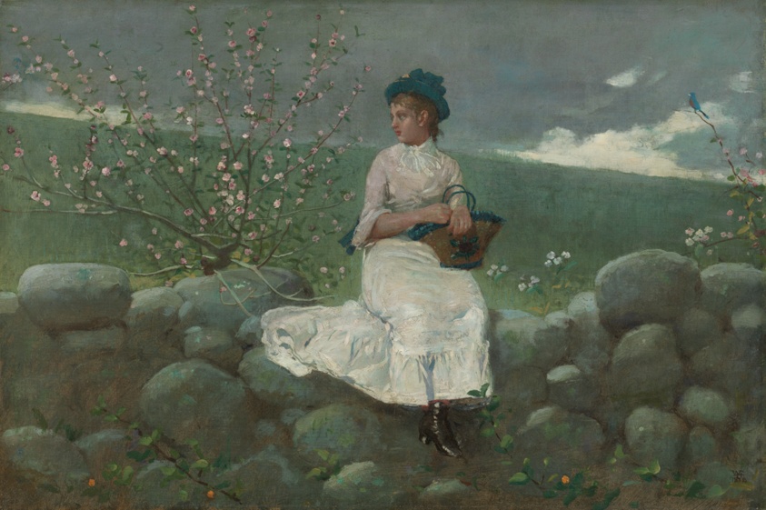 Peach Blossoms by Winslow Homer