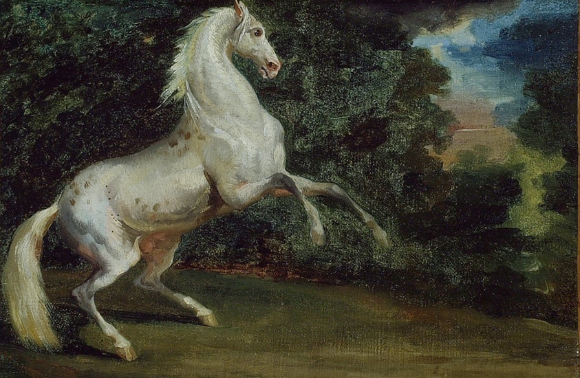 Prancing Horse by Follower of Jean Louis André Théodore Géricault