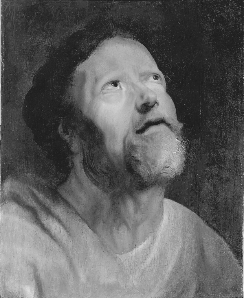 Head of an Apostle by Follower of Jacob Jordaens