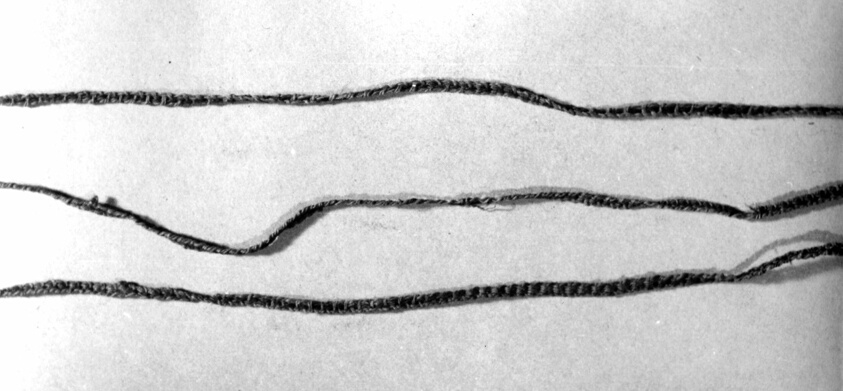 Fragments (Band) by Nasca