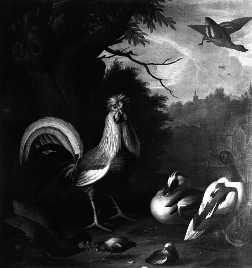 Birds in Landscape by Marmaduke Cradock