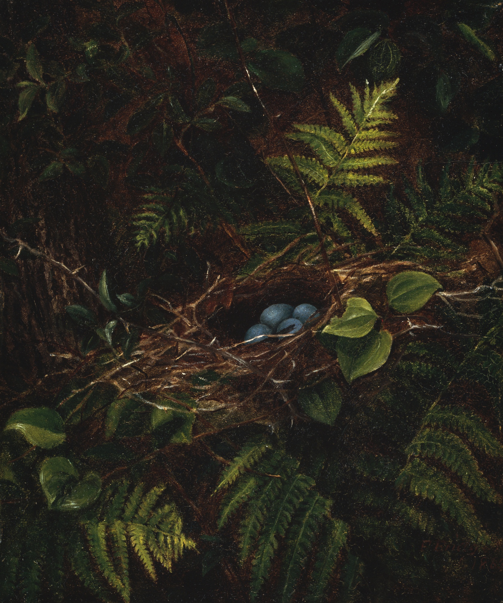Bird's Nest and Ferns by Fidelia Bridges