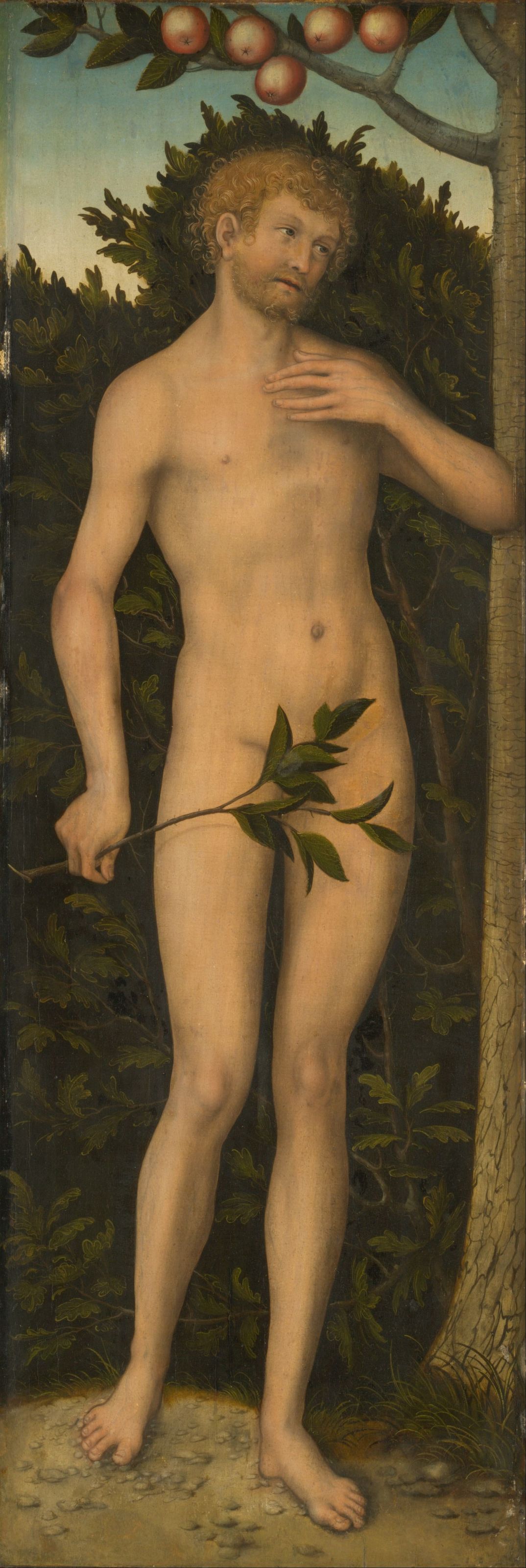 Adam by Lucas Cranach the Elder