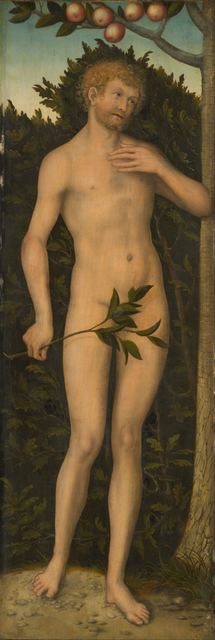 Adam by Lucas Cranach the Elder